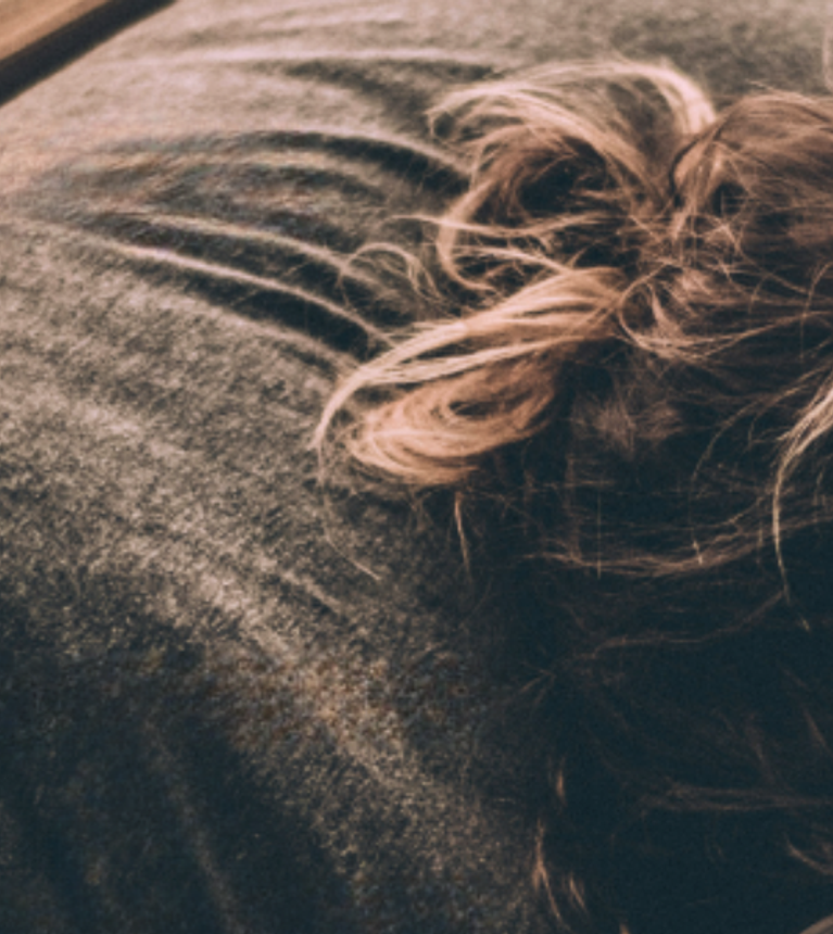 Banner Herbstaktion Elastica 25 (1)